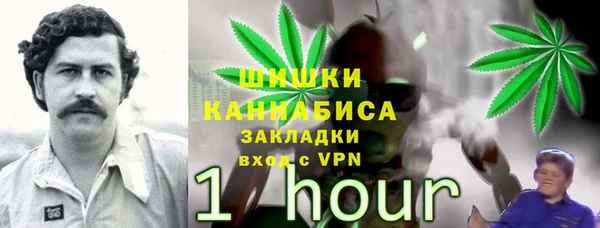 прущий лед Инсар