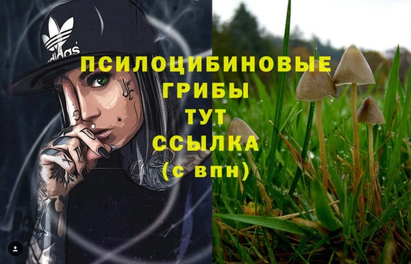 mdma Зеленодольск