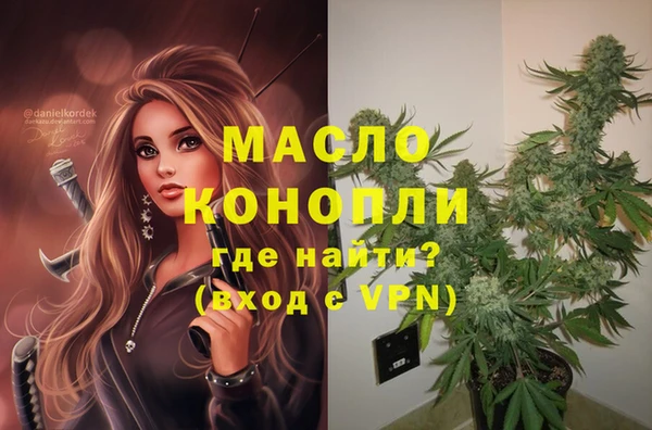 прущий лед Инсар