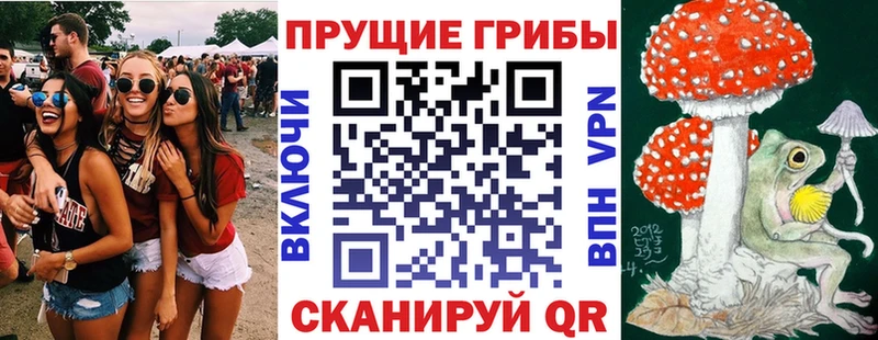 Псилоцибиновые грибы Psilocybe  Купить где  Вязники 